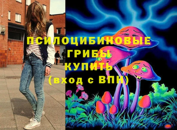 ешки Алексин