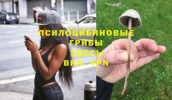 ешки Алексин