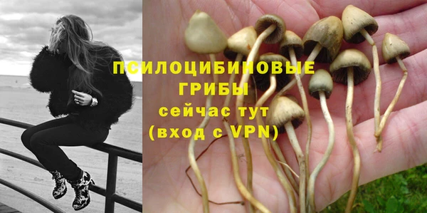 гидропоника Алексеевка