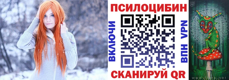 продажа наркотиков  Домодедово  Псилоцибиновые грибы Magic Shrooms 