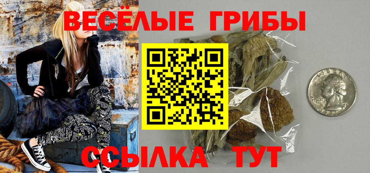 Галлюциногенные грибы GOLDEN TEACHER Домодедово
